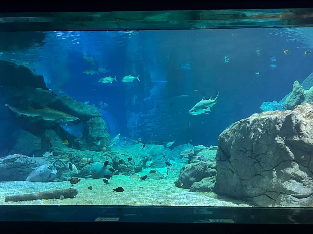 Odysseo Oceanarium Mauritius-路易士港必去景点