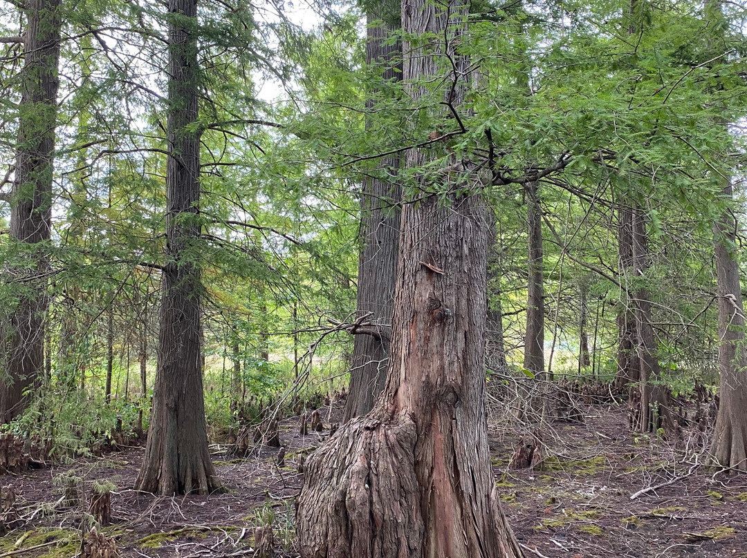 Dawes Arboretum-Newark必去景点