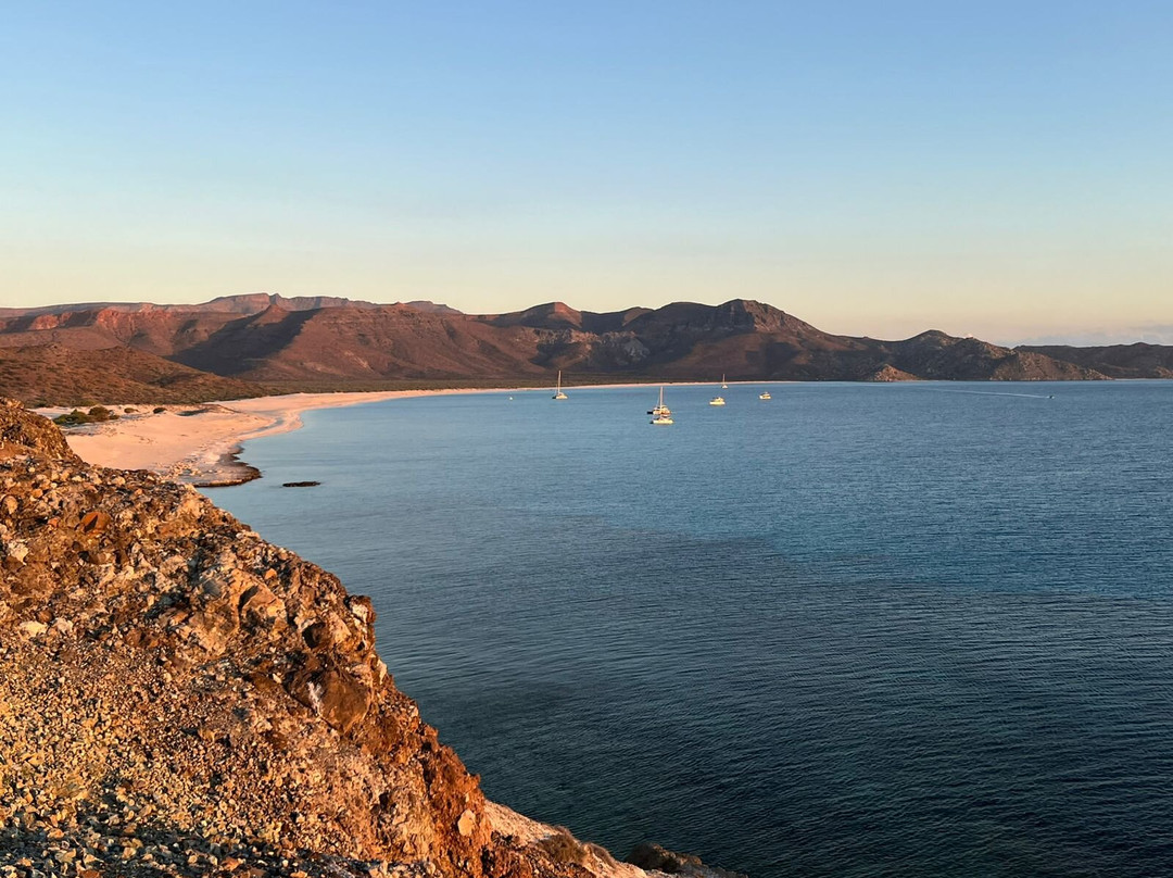 Shark Encounters Mexico-拉巴斯必去景点