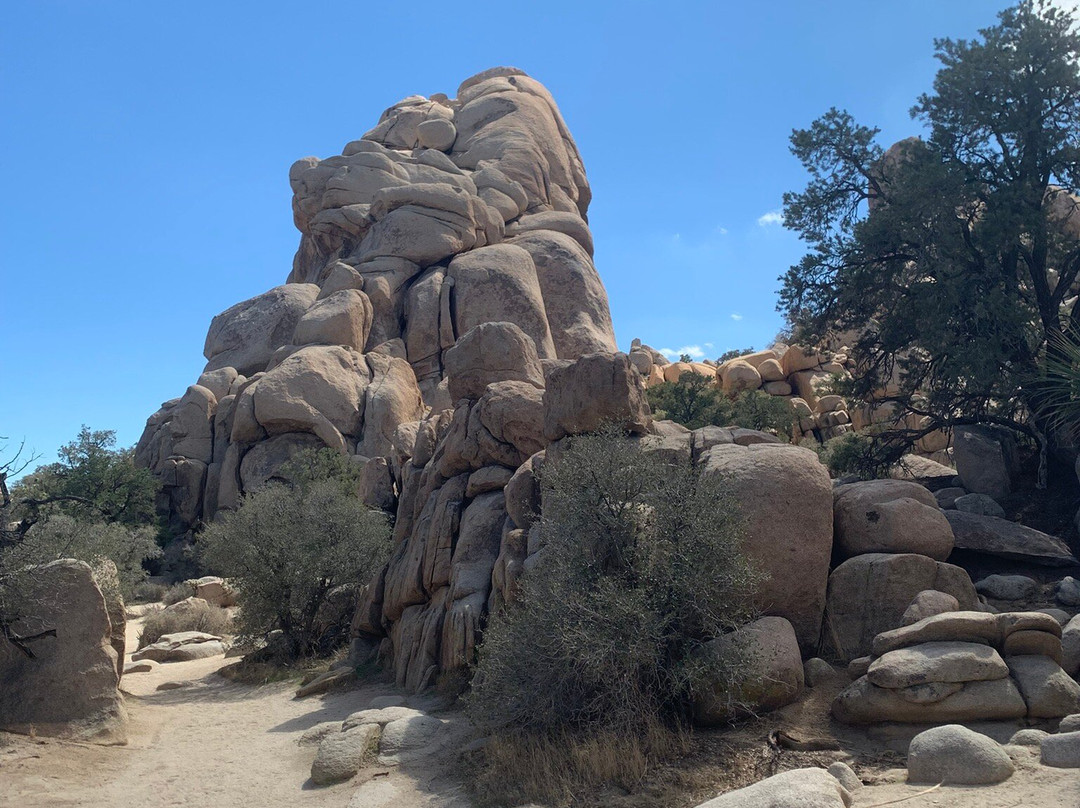 Mojave Desert-加利福尼亚必去景点