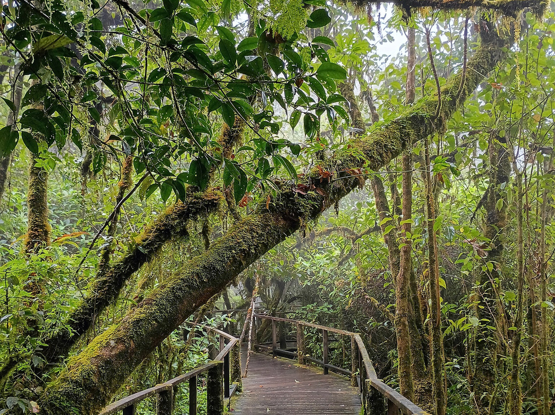 Nature Trails Ang Ka-宗通必去景点