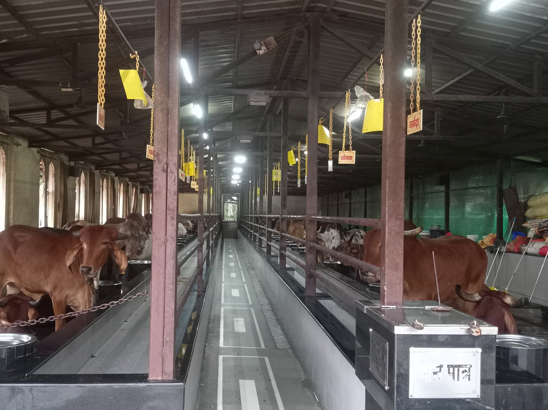 Shree Narayani Dham Temple-罗纳瓦拉必去景点