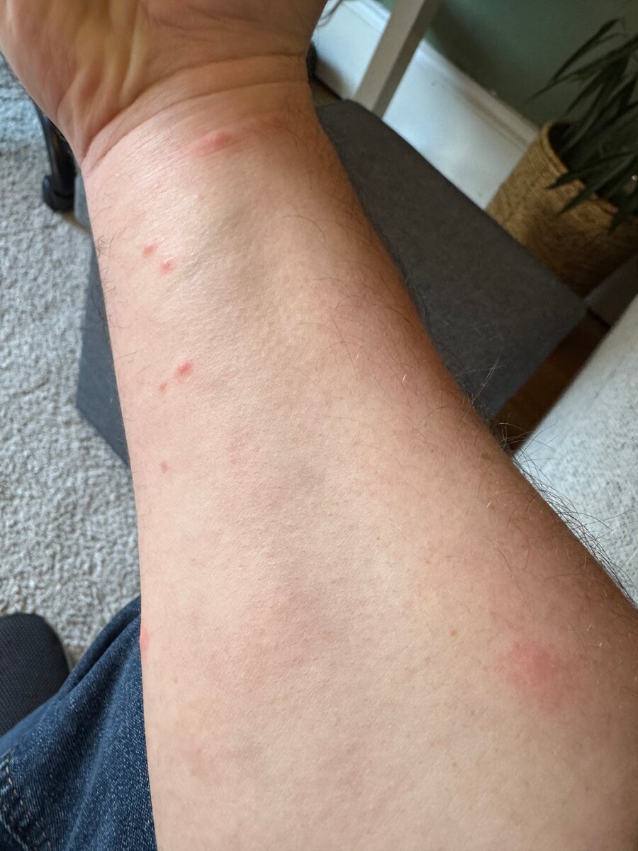 Brunnholl Country Guesthouse-客卧