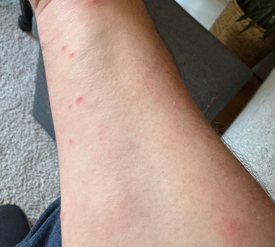 Brunnholl Country Guesthouse主图