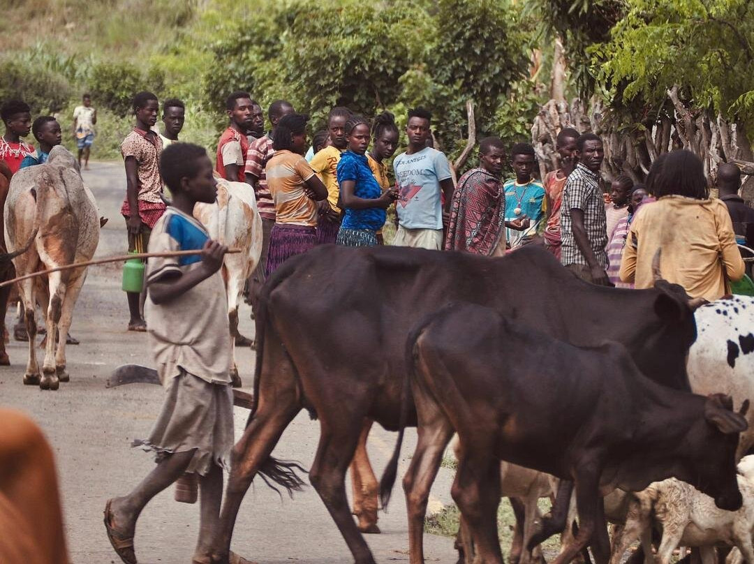 Enat Ethiopia Tours & Travel-亚的斯亚贝巴必去景点