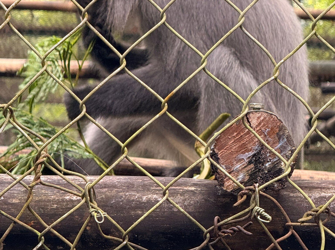 Cuc Phuong National Park-宁平必去景点