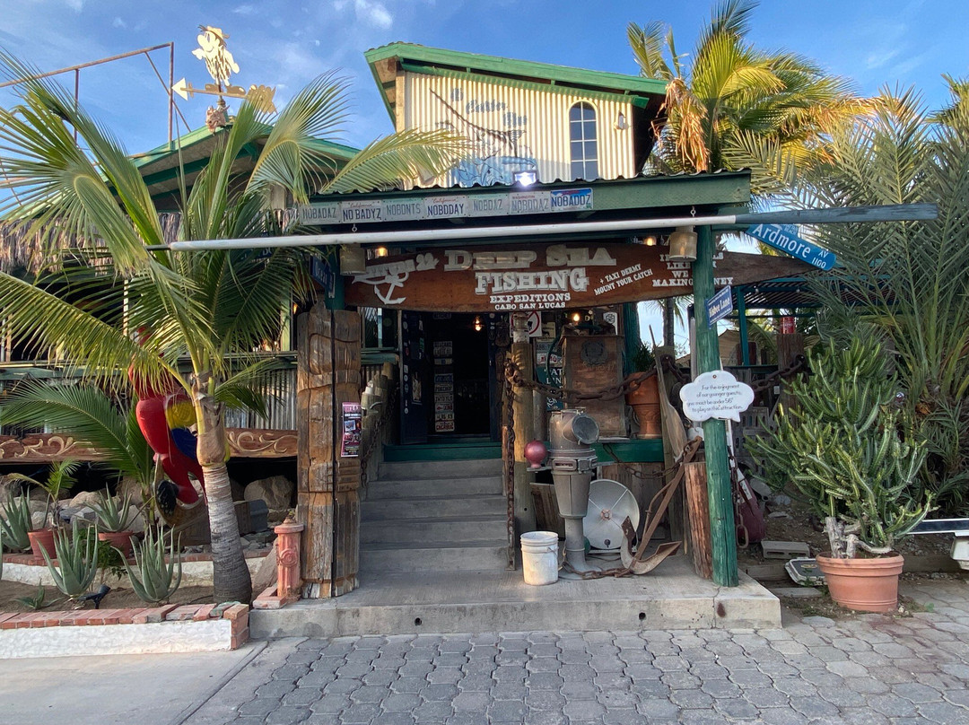 Latitude 22+ Ocean View Roadhouse Bar-卡波圣卢卡斯必去景点