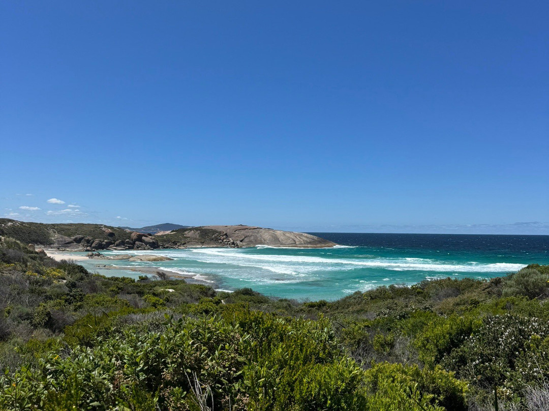 Wow Wilderness Ecocruises-沃泊尔必去景点