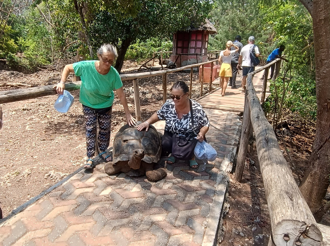 Bravo Zanzibar Travel-桑给巴尔市必去景点