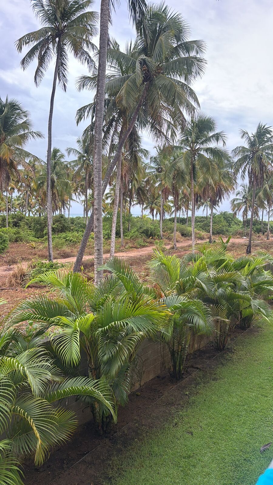 Vila Galé Alagoas-浴室