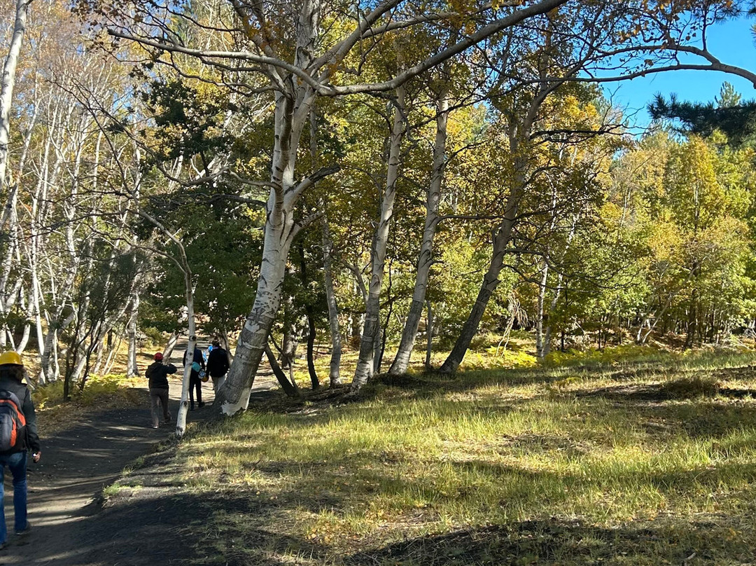 Sicily Active-陶尔米纳必去景点