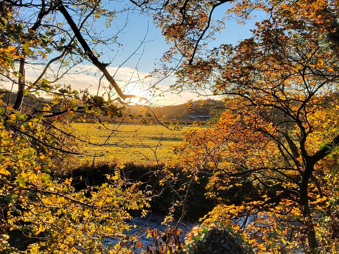 Millenium Walkway-New Mills必去景点