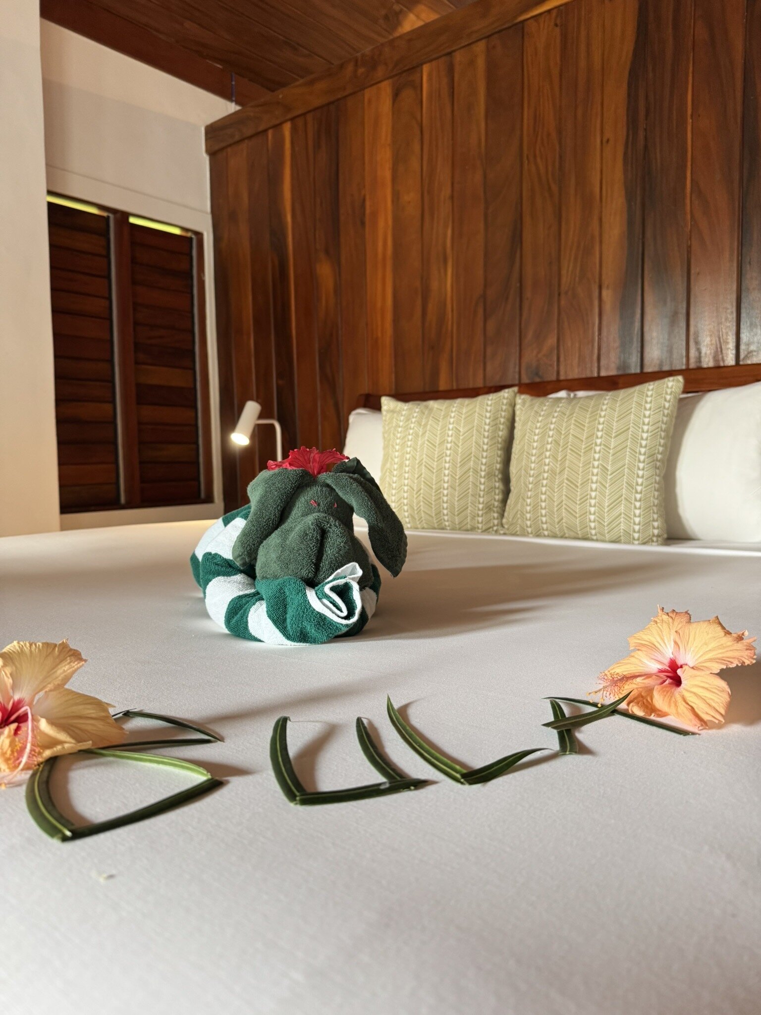 Waya Island Resort-官方