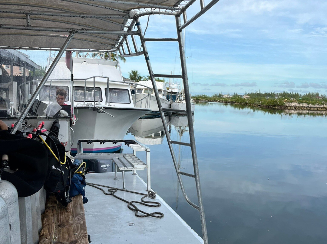 Stuart Cove's-拿骚必去景点