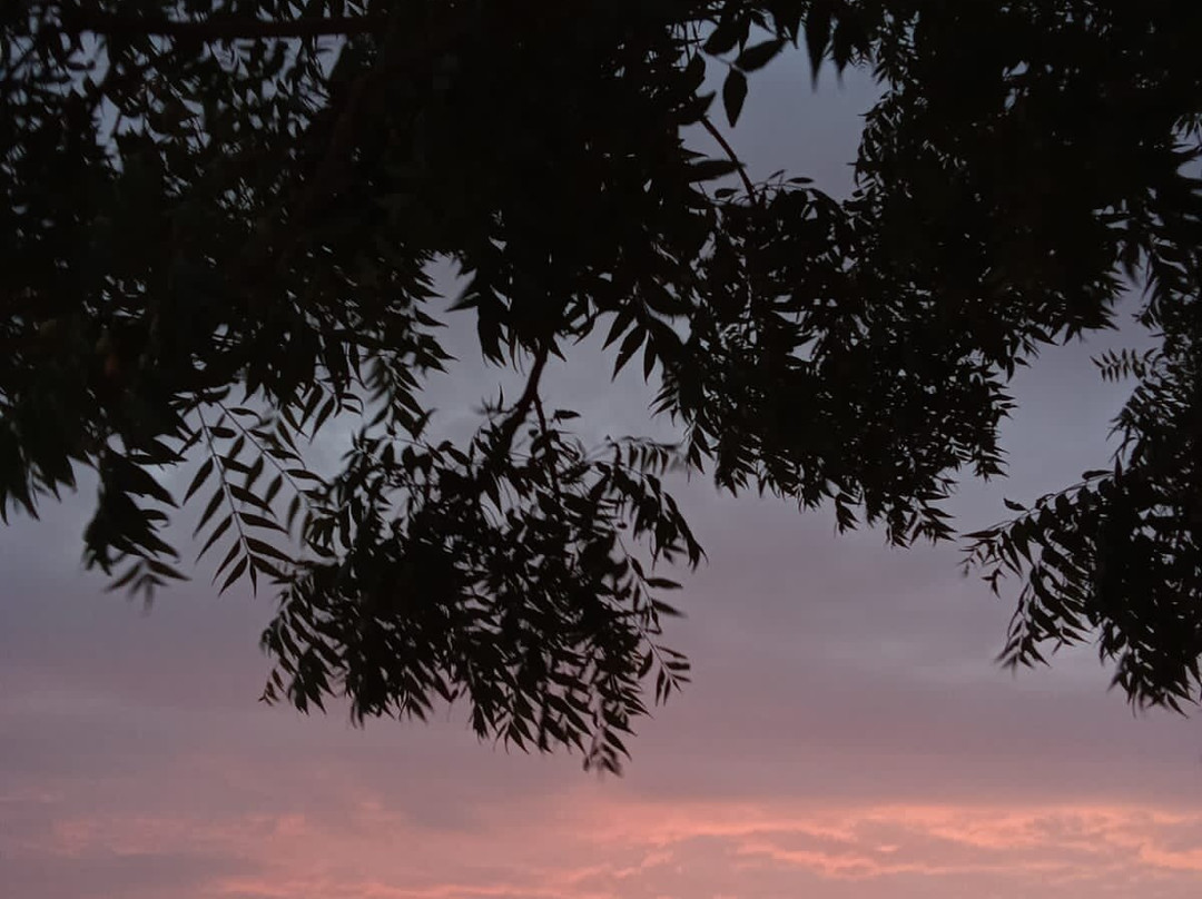 Sunset Nature view point - near jodhpur-Balesar必去景点