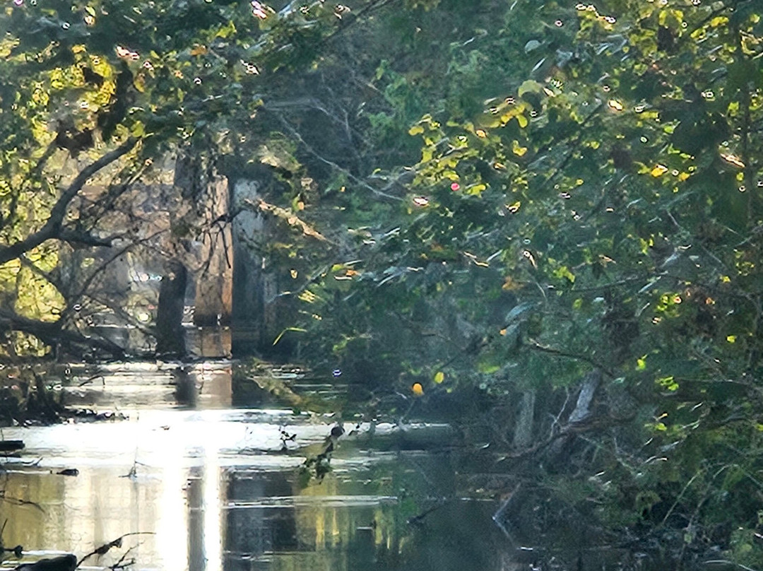 Cajun Pride Swamp Tours-LaPlace必去景点