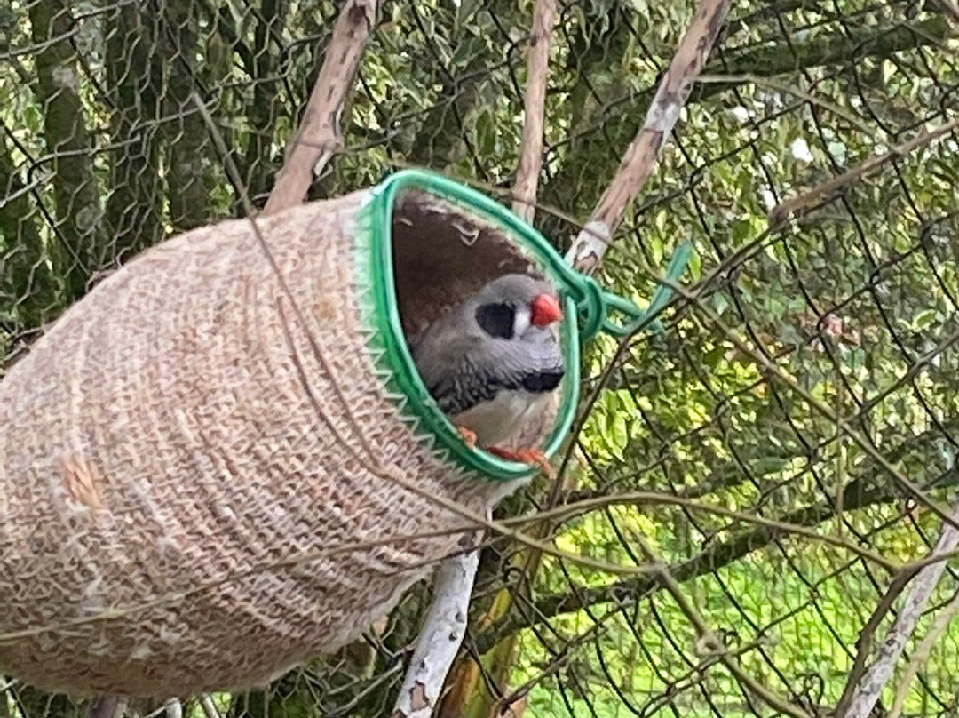 Rancho Ecoturistico El Faro主图