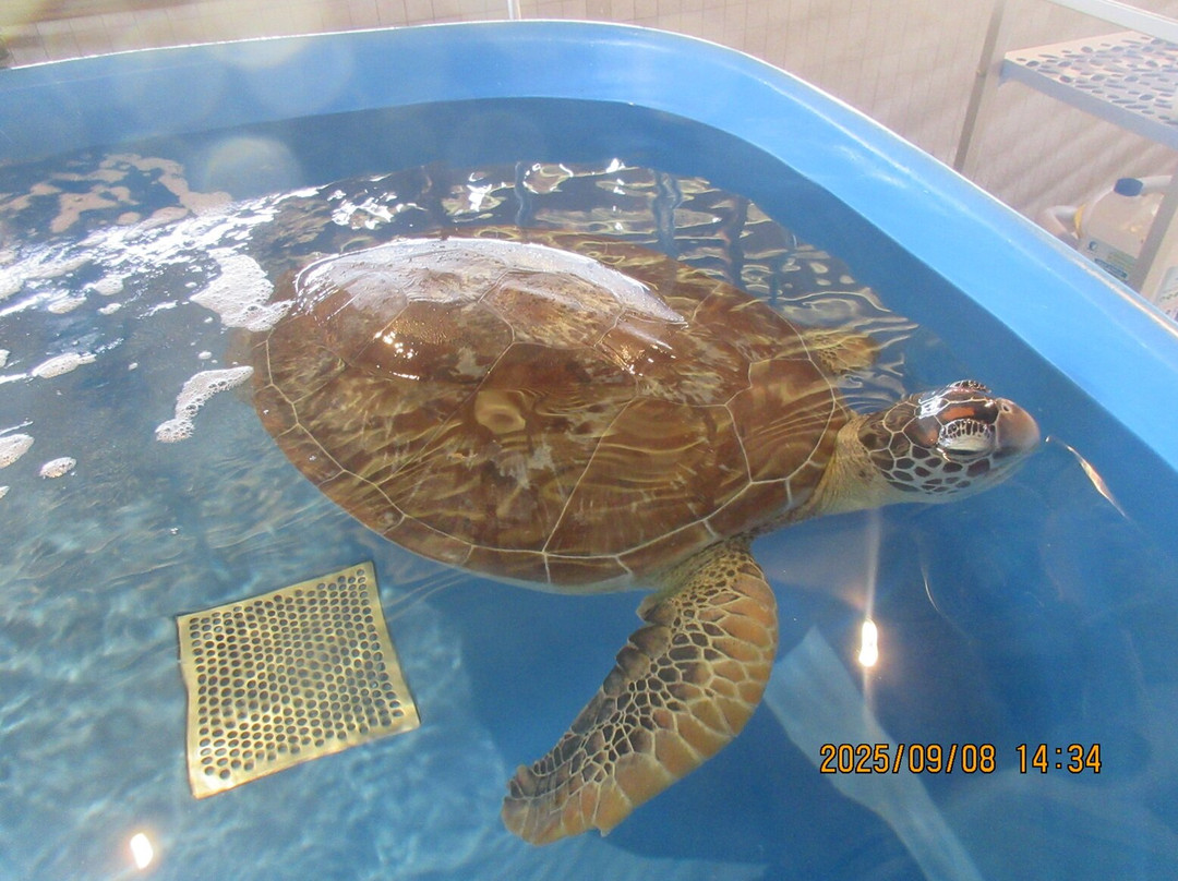 Eco Center Bora Bora-波拉波拉岛必去景点