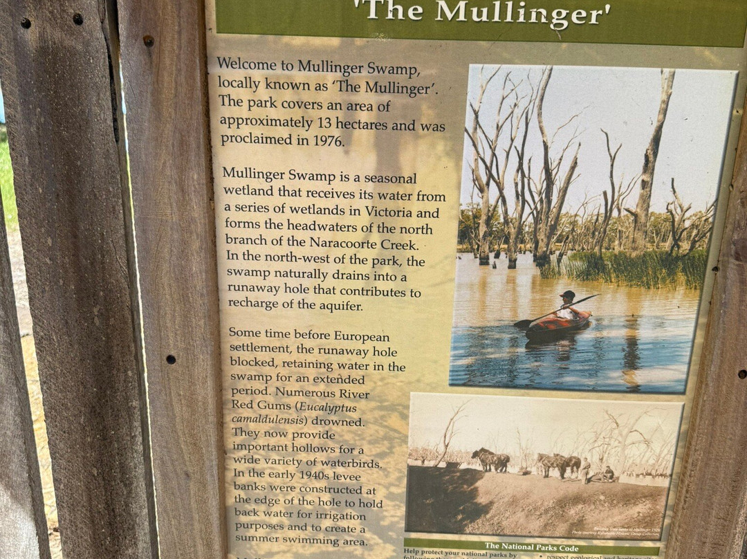 Mullinger Swamp-Kybybolite必去景点