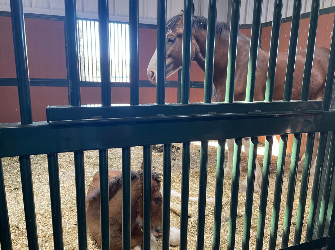 Warm Springs Ranch-Boonville必去景点