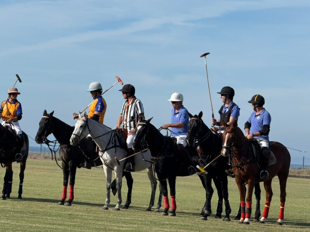 马德雷瑟瓦酒店主图
