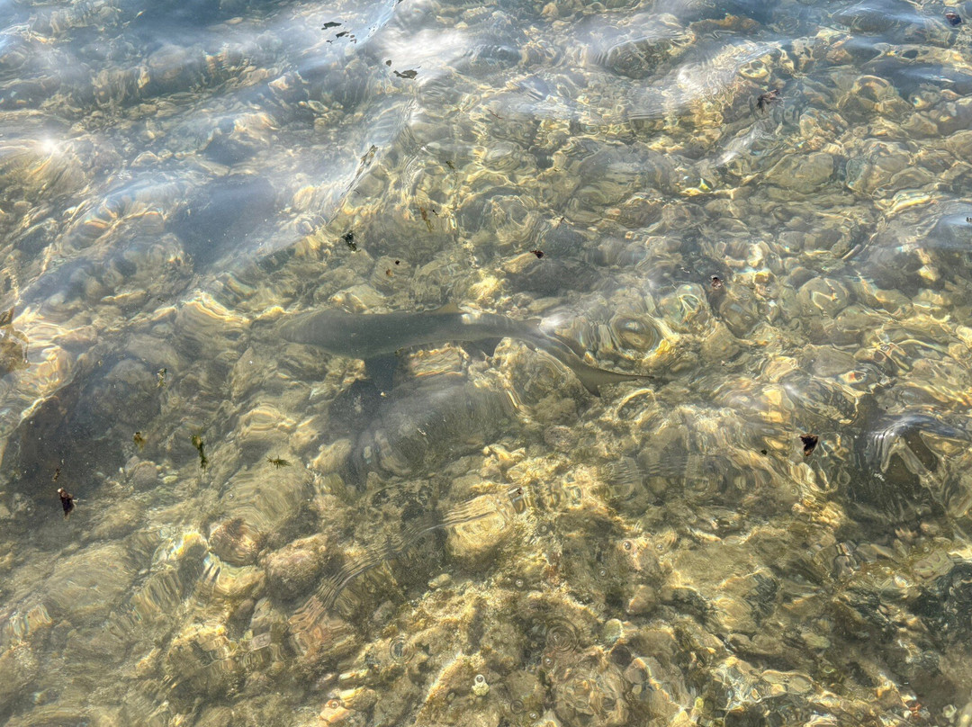 Explore Cape Verde-圣塔玛丽亚必去景点