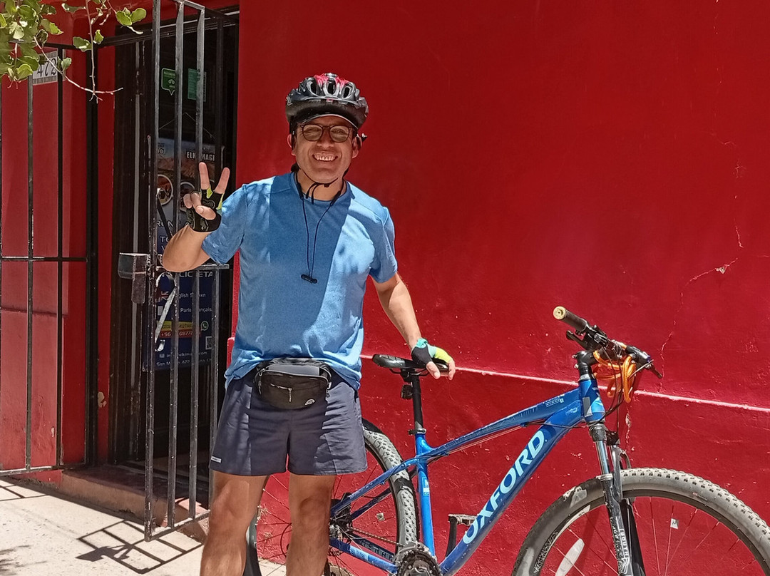 Elki Magic-Vicuna必去景点