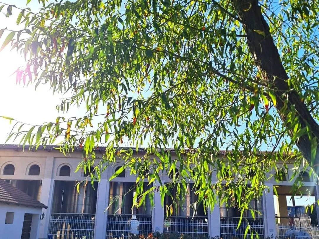 Chabiant Winery-Ismailly必去景点