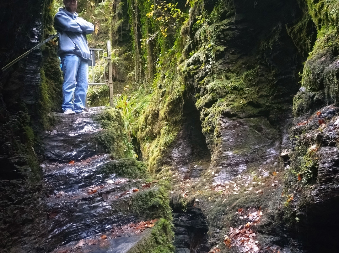 Lydford Gorge-Lydford必去景点