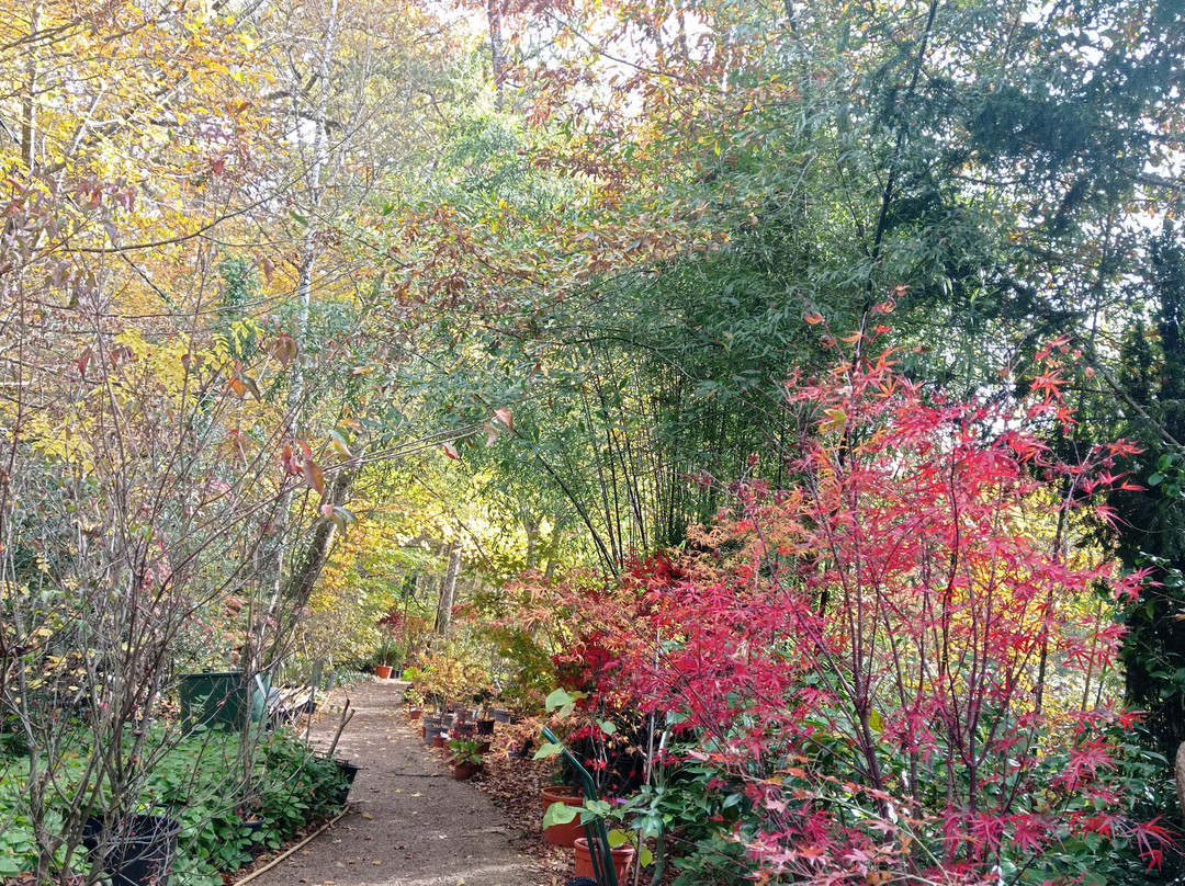 Jardin d'Atmosphere du Petit Bordeaux-罗亚尔河大区必去景点