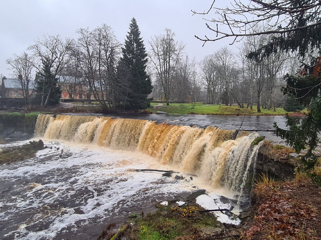 Nature Trail in Keila Joa Park-Keila必去景点