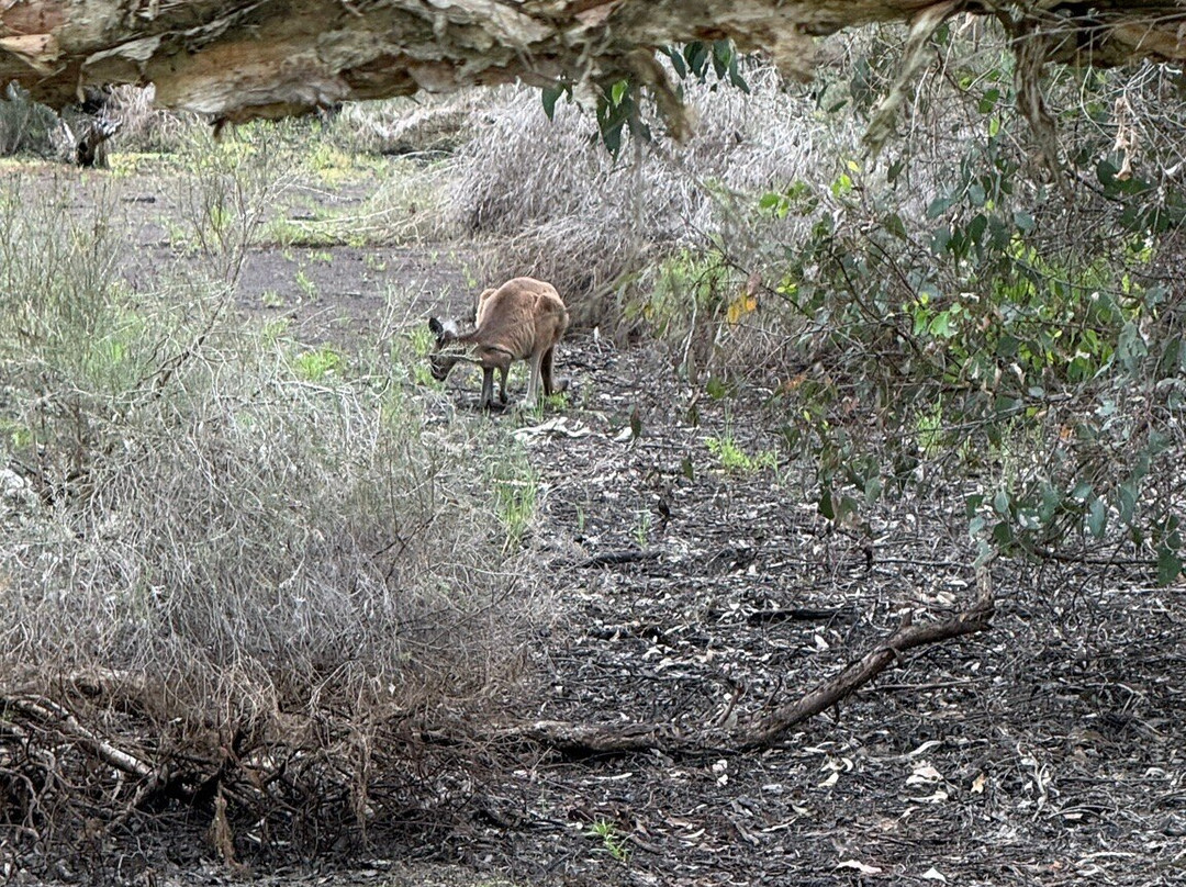 怀特曼公园-怀特曼 必去景点
