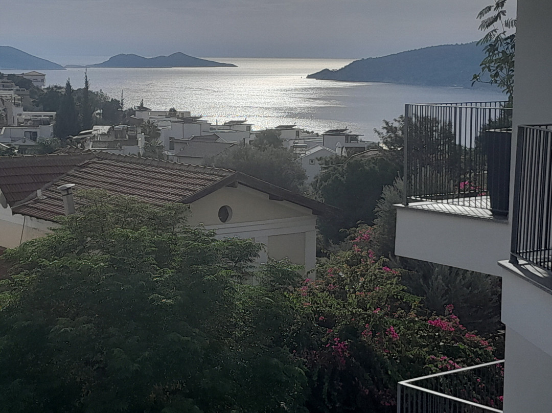 Payava Hotel by True Blue主图