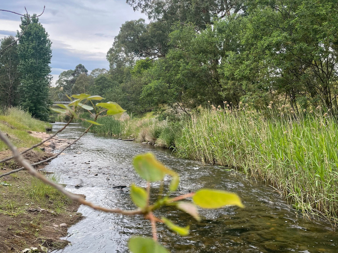 The Creek Playspace-Swifts Creek必去景点