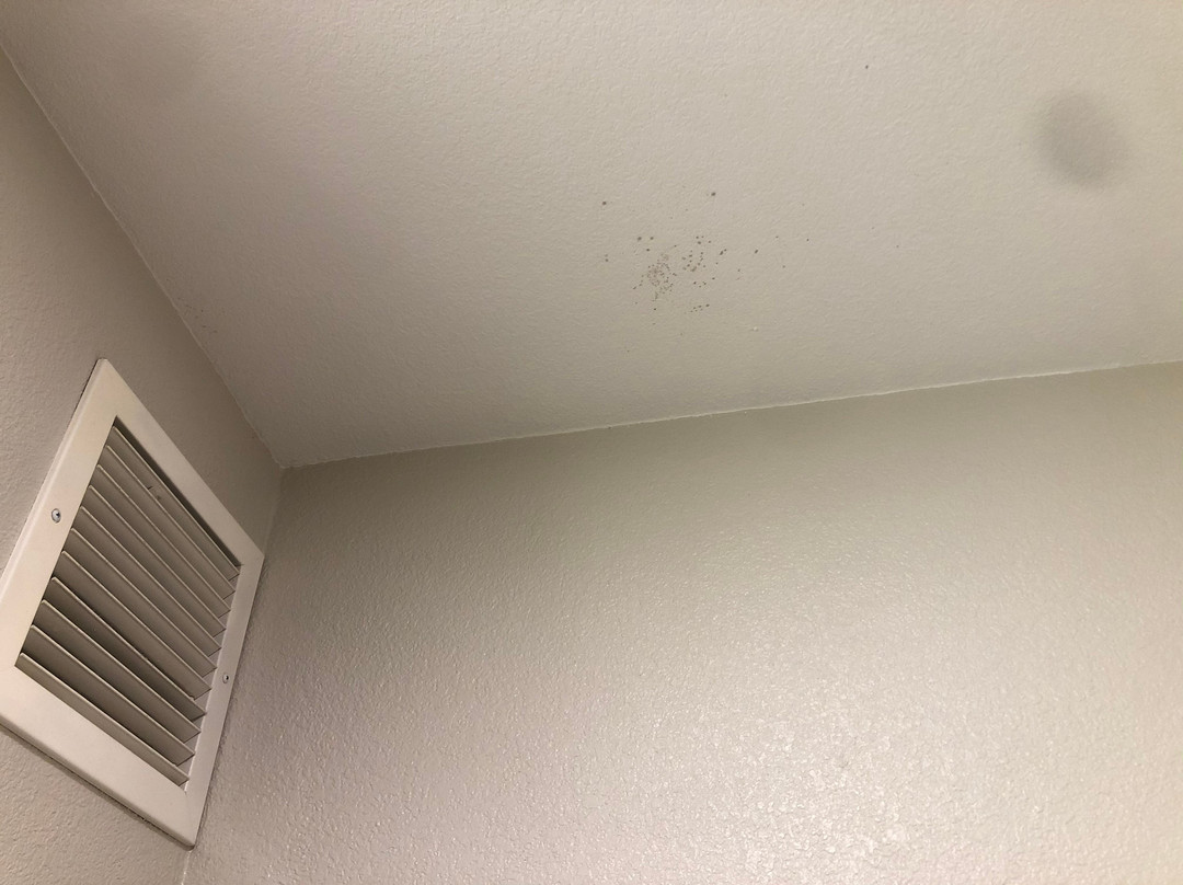 Holiday Inn Express & Suites Dickson By IHG主图