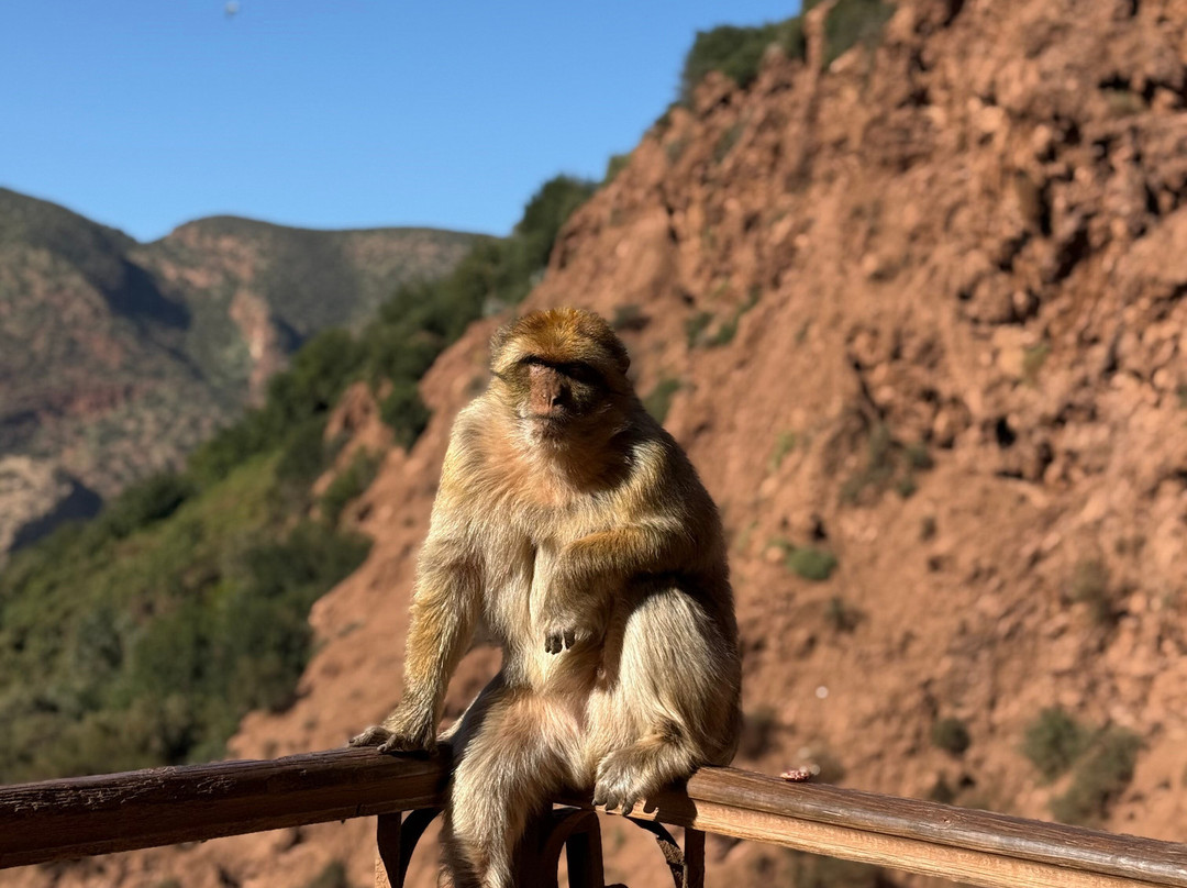 Viaje Conmigo A Marruecos-马拉喀什必去景点