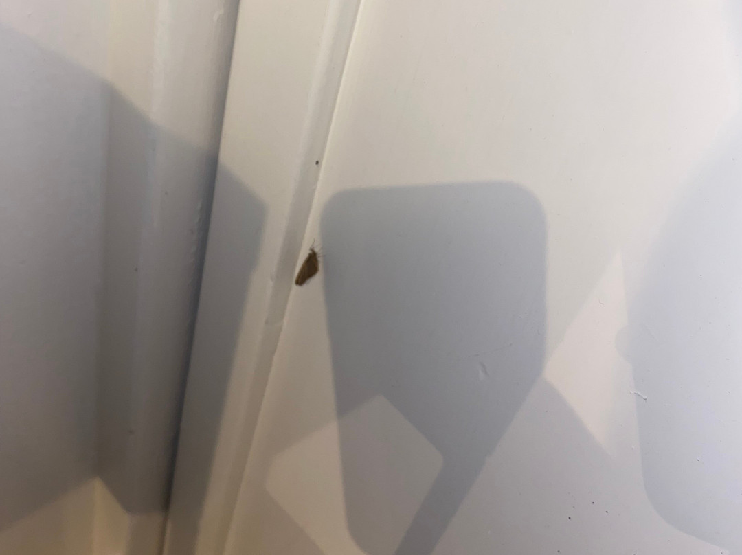 Treetop Spa Hangout & Hotel主图