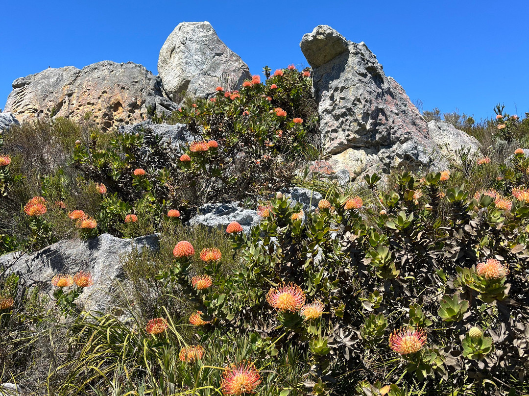 Blue Mountain Trail-Botrivier必去景点