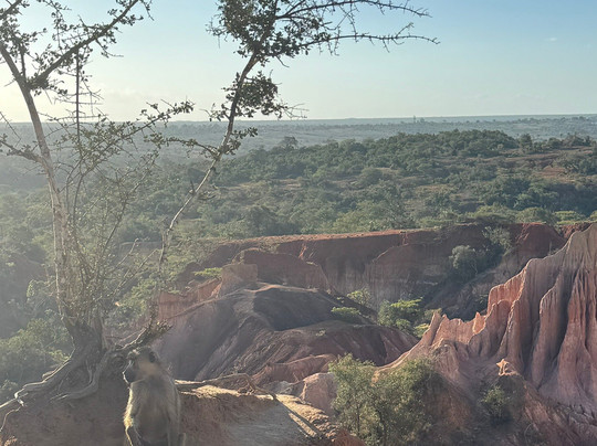 Kenya Dream-瓦塔木必去景点