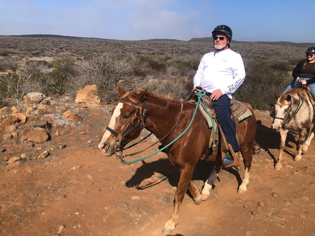 Rancho Los Bandidos-恩塞纳达必去景点