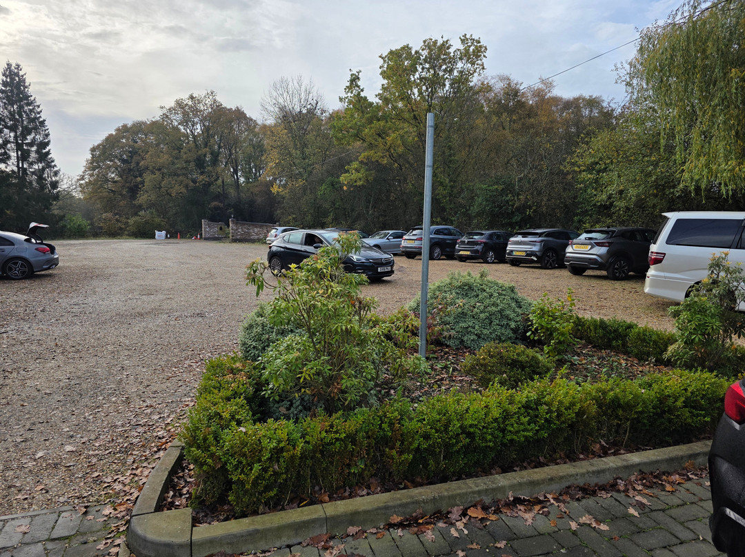 The Limes Country Lodge Hotel主图