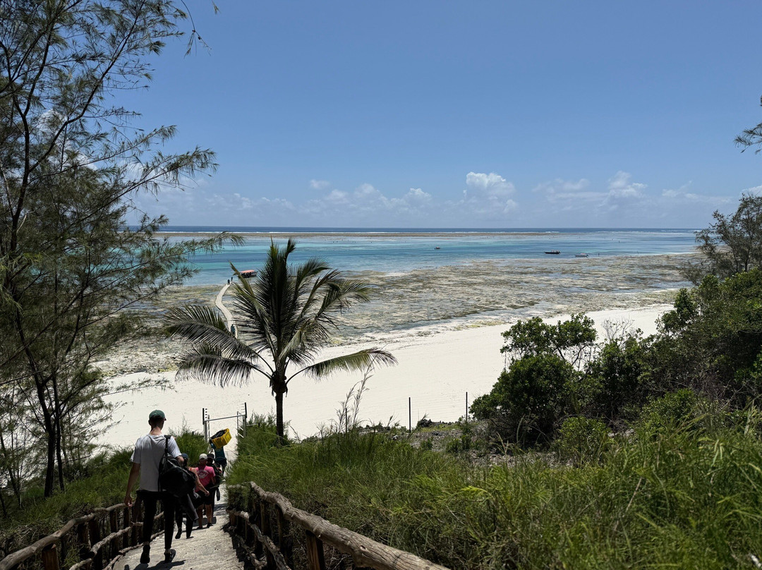 Rising Sun Dive Center-桑给巴尔岛必去景点