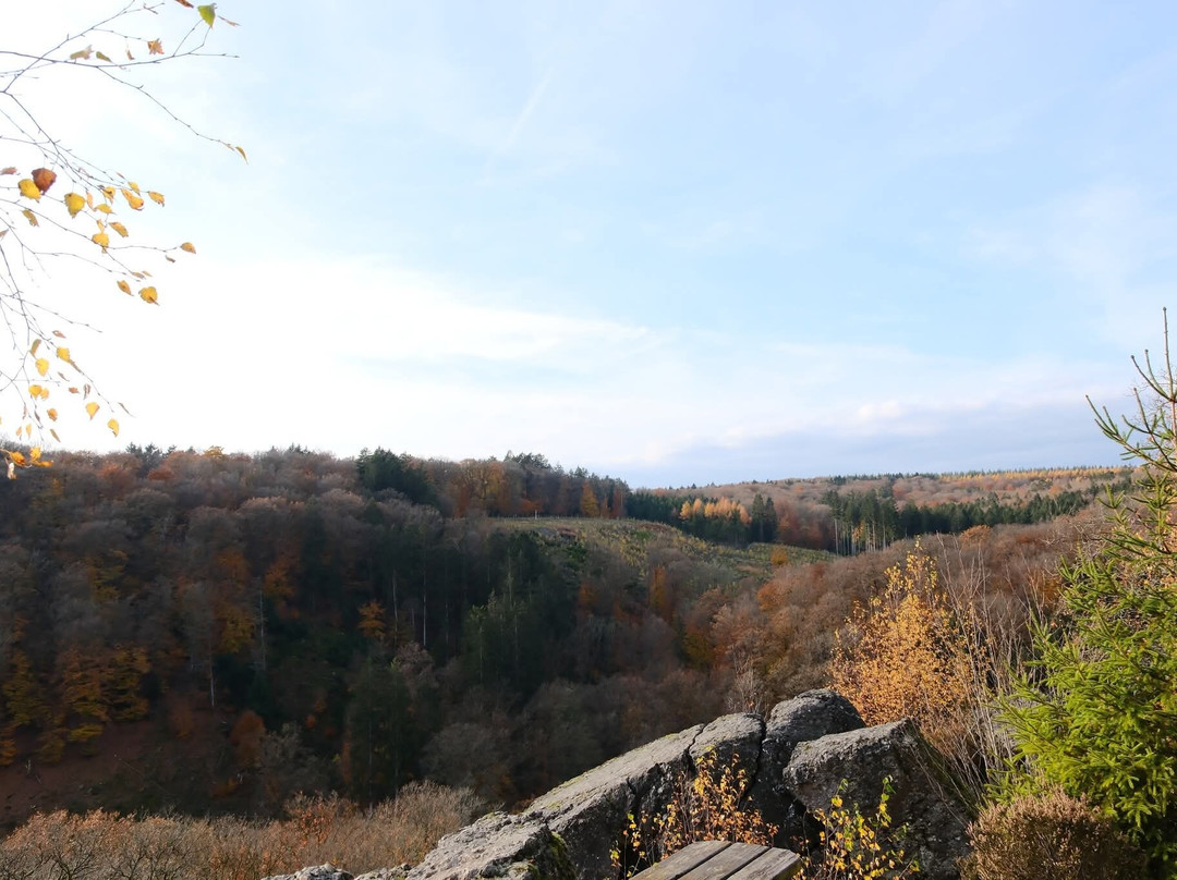 Reserve Naturelle de la Roche a l'Appel-Florenville必去景点