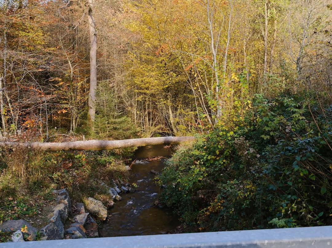 Reserve Naturelle de la Roche a l'Appel-Florenville必去景点
