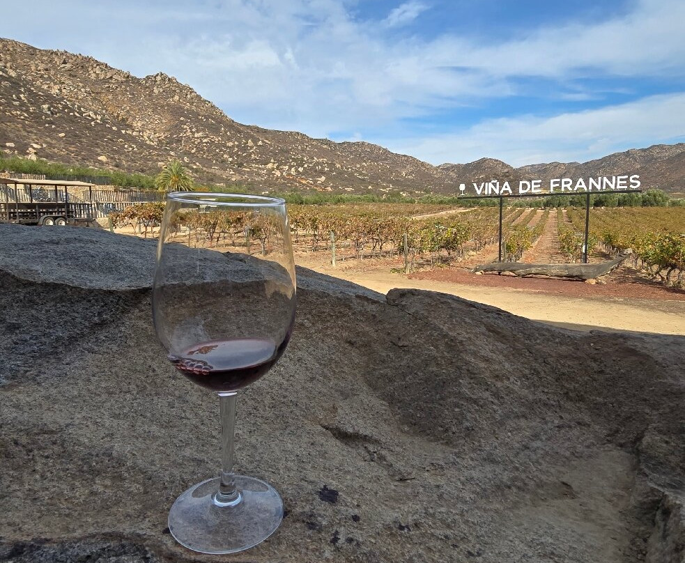 Vina de Frannes-Valle de Guadalupe必去景点