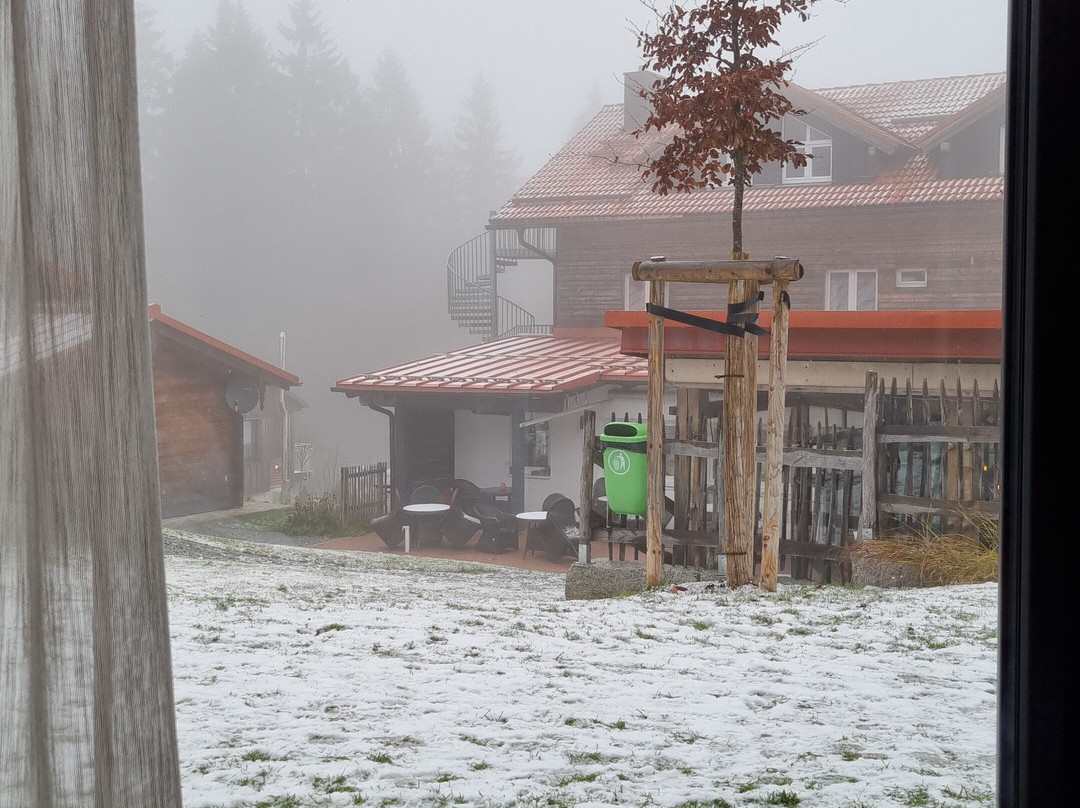 Hunderesort Waldeck主图