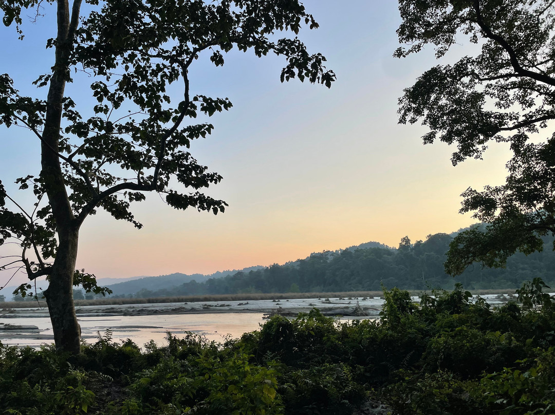 Nepal Dynamic Eco Tours & Services-奇旺国家公国必去景点