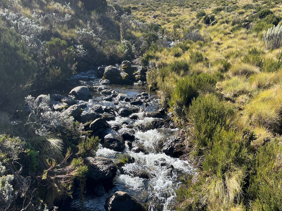 Tilman Safaris-南由基必去景点