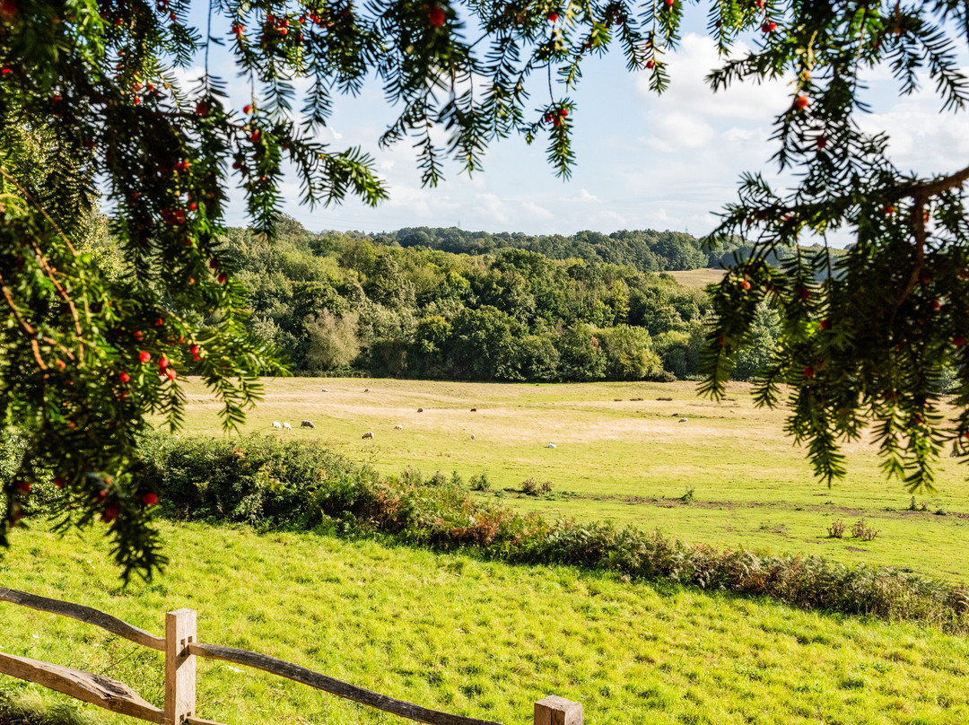 Battle Abbey and Battlefield-巴特尔必去景点