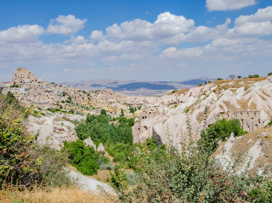Evil Eye Tree-乌奇萨必去景点